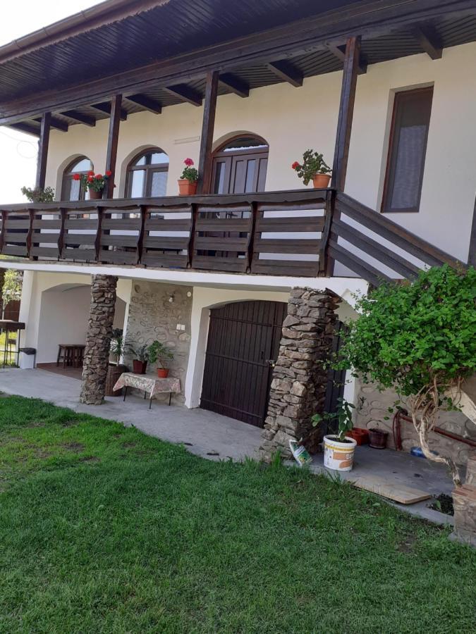 Casa De Vacanta Mirela Novaci-Străini Zewnętrze zdjęcie