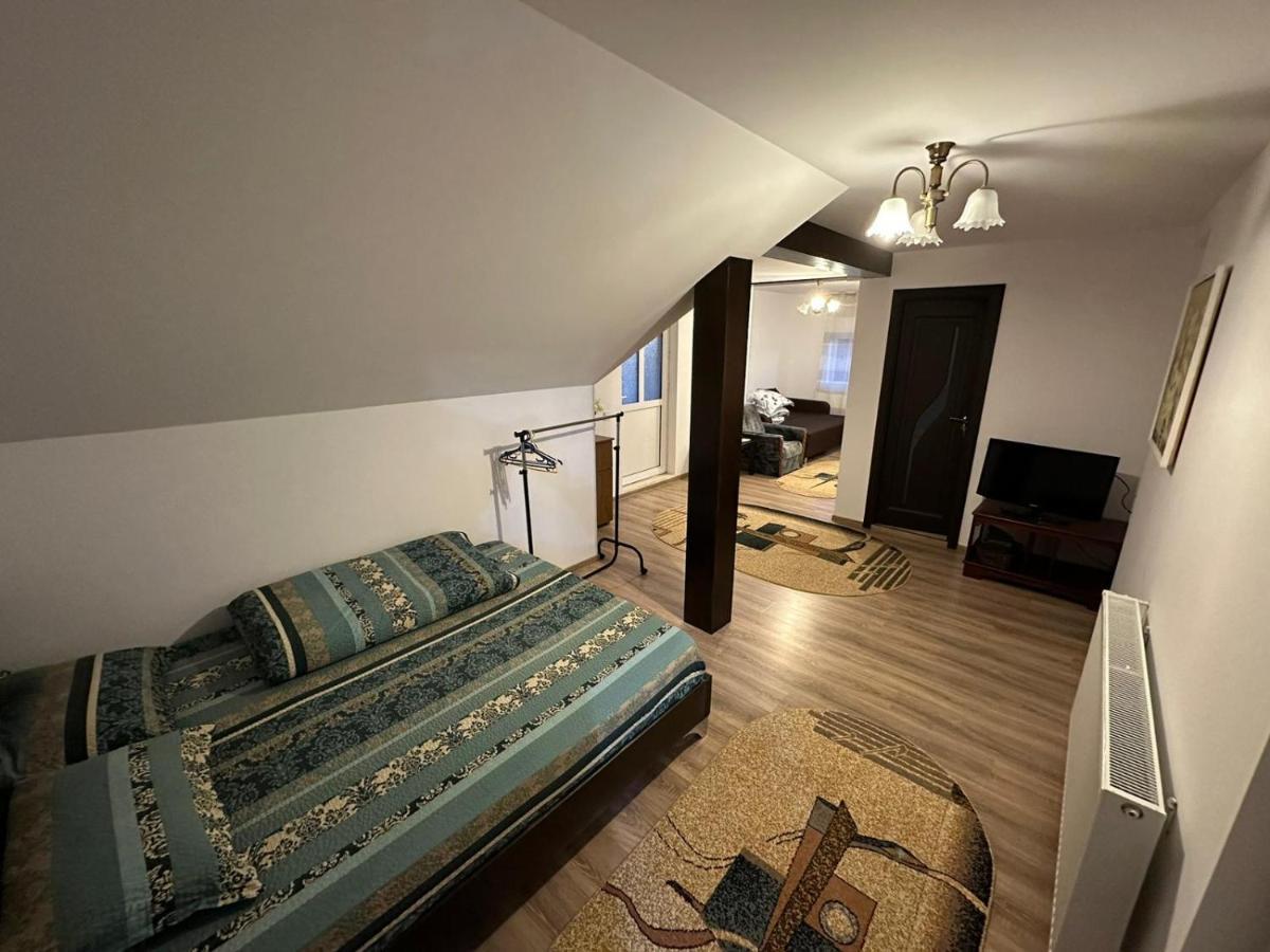 Casa De Vacanta Mirela Novaci-Străini Zewnętrze zdjęcie