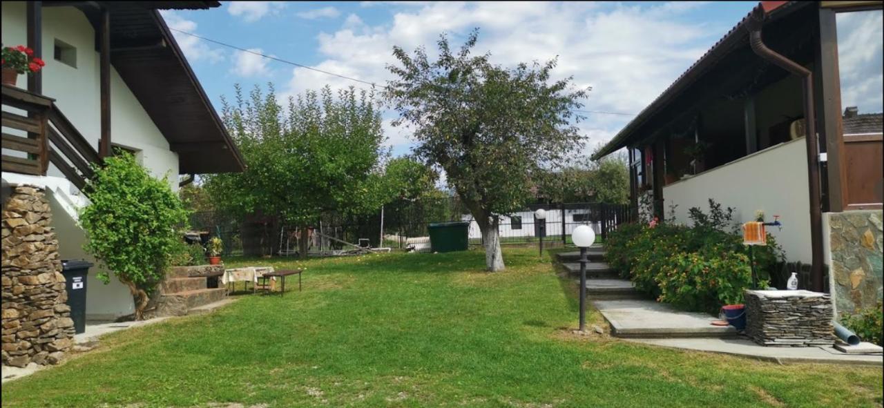 Casa De Vacanta Mirela Novaci-Străini Zewnętrze zdjęcie