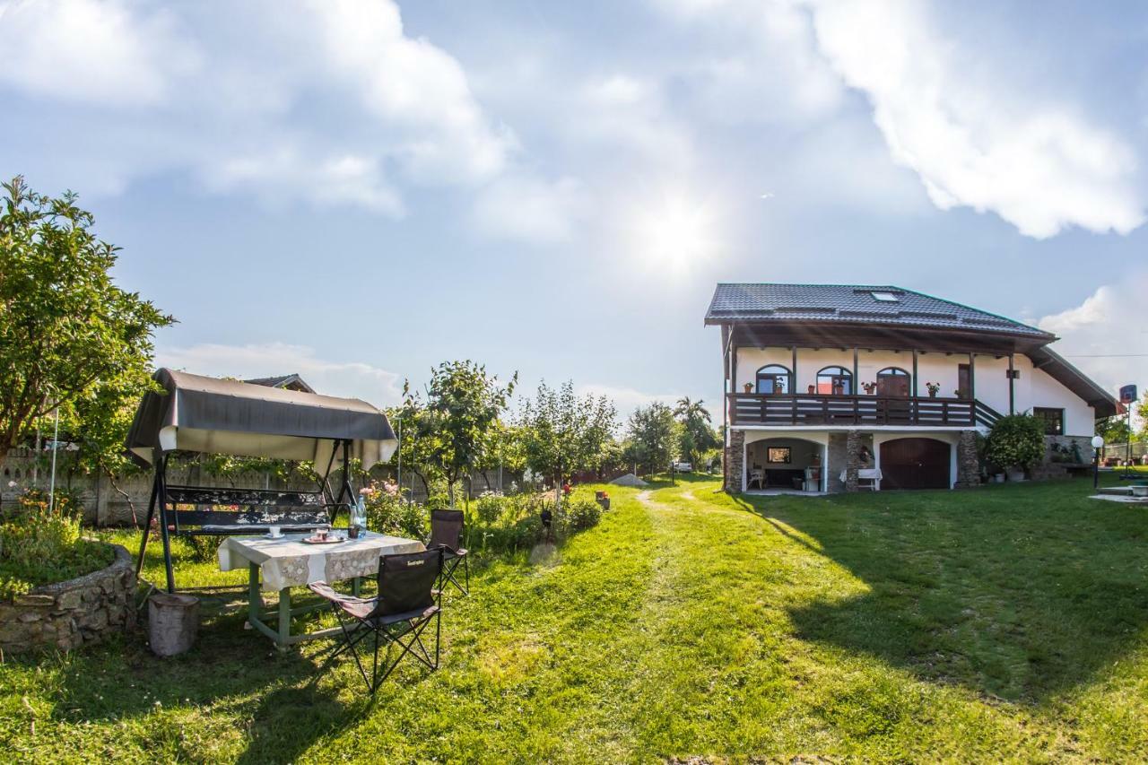 Casa De Vacanta Mirela Novaci-Străini Zewnętrze zdjęcie